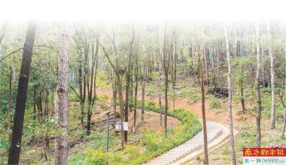政府与乡贤共同投入打造市民身边的森林公园